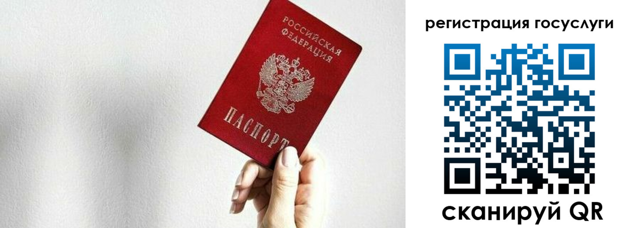 прописка гарантия в Вязниках